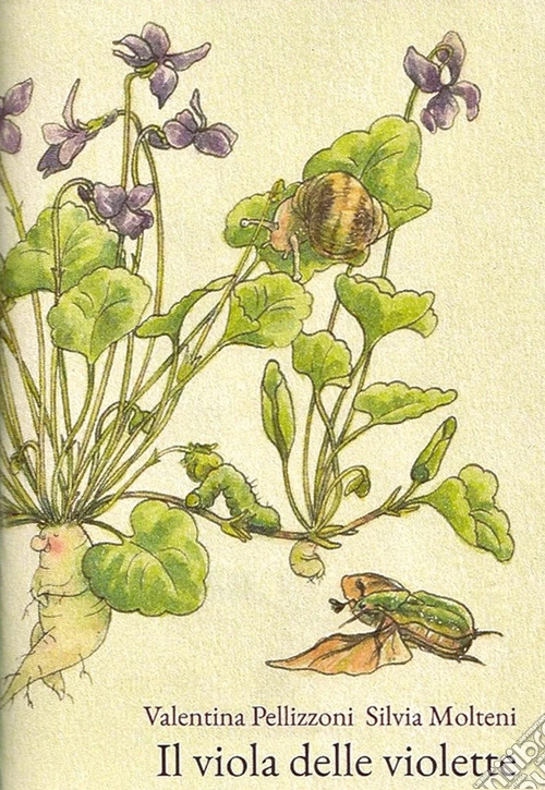 Il viola delle violette