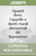 Sguardi divini. Cappelle e dipinti murali devozionali del Sopraceneri libro