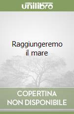 Raggiungeremo il mare libro
