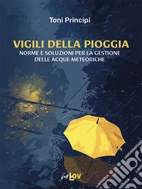 Vigili della pioggia. Norme e soluzioni per la gestione delle acque meteoriche libro
