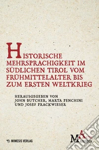 Historische Mehrsprachigkeit im südlichen Tirol vom Frühmittelalter bis zum Ersten Weltkrieg libro