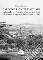 Carbone, lignite e acciaio. La battaglia per l'energia. L'Acciaieria di Terni e le miniere di lignite umbre dal 1860 al 1960