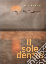 Il sole dentro libro