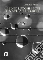 Ci sono luoghi in cui ti si svelano segreti libro