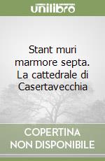 Stant muri marmore septa. La cattedrale di Casertavecchia libro