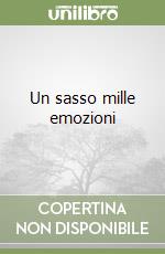 Un sasso mille emozioni