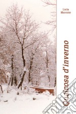 Qualcosa d'inverno libro