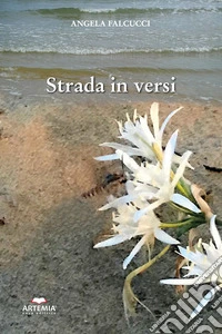 Strada in versi