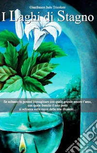 I laghi di stagno libro