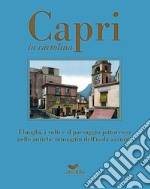 Capri in cartolina. I luoghi, i volti e il paesaggio pittoresco nelle antiche immagini dell'isola azzurra. Ediz. a colori libro