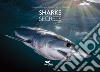 Shark secrets. Ediz. italiana e inglese libro