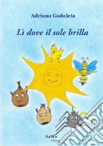 Lì dove il sole brilla libro