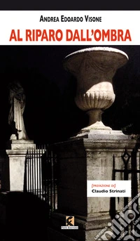 Al riparo dall'ombra libro