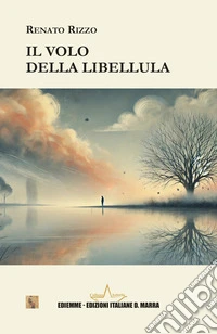 Il volo della libellula