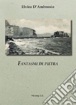 Fantasmi di pietra libro