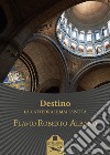 Destino. La cattedrale mai esistita libro