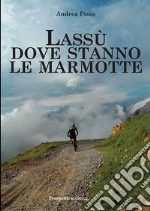 Lassù dove stanno le marmotte