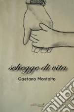 Schegge di vita libro