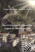 Sensibilità poetica lametina. Raggi di sole nella terra dei sogni libro