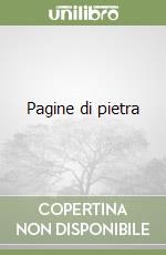 Pagine di pietra libro