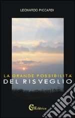 La grande possibilità del risveglio libro