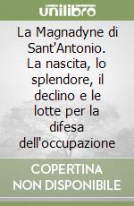 La Magnadyne di Sant'Antonio. La nascita, lo splendore, il declino e le lotte per la difesa dell'occupazione libro