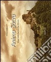 Anima sacra. Visioni della sacra di San Michele. Ediz. multilingue. Con DVD libro di Borrelli Franco