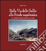 Dalla via delle Gallie alla strada napoleonica. La viabilità valsusina attraverso i secoli libro