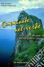 Camminate tra il verde verso i segni del sacro nell'alto Garda e Ledro libro