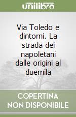 Via Toledo e dintorni. La strada dei napoletani dalle origini al duemila libro