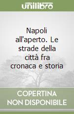 Napoli all'aperto. Le strade della città fra cronaca e storia libro