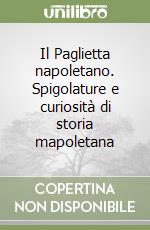 Il Paglietta napoletano. Spigolature e curiosità di storia mapoletana