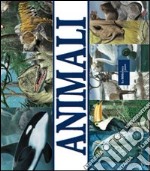 Animali libro