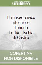 Il museo civico «Pietro e Turiddo Lotti». Ischia di Castro libro