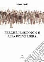 Perché il Sud non è una polveriera libro