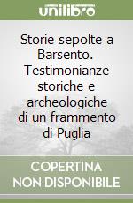 Storie sepolte a Barsento. Testimonianze storiche e archeologiche di un frammento di Puglia libro