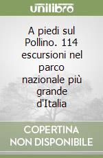 A piedi sul Pollino. 114 escursioni nel parco nazionale più grande d'Italia libro