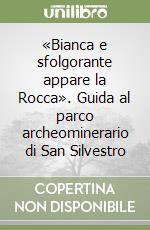 «Bianca e sfolgorante appare la Rocca». Guida al parco archeominerario di San Silvestro libro