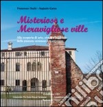 Misteriose e meravigliose ville. Alla scoperta di arte, storia e leggende della pianura veronese e mantovana libro