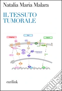 Il Tessuto tumorale. Nuove prospettive diagnostico-terapeutiche in oncologia