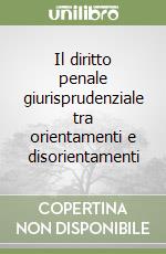 Il diritto penale giurisprudenziale tra orientamenti e disorientamenti libro