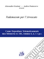 Vademecum per l'avvovato libro