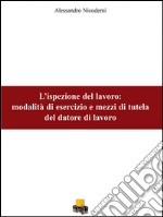 L'ispezione del lavoro. Modalità di esercizio e mezzi di tutela del datore di lavoro