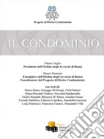 Il condominio libro