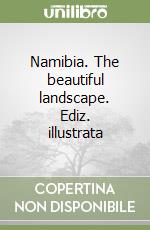 Namibia. The beautiful landscape. Ediz. illustrata