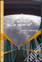 Corpi estratti dalle macerie