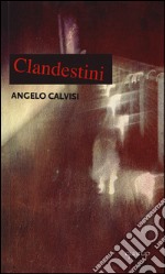 Clandestini libro