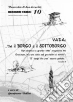 Vada: tra il borgo e il sottoborgo libro