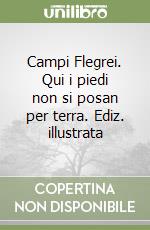 Campi Flegrei. Qui i piedi non si posan per terra. Ediz. illustrata libro