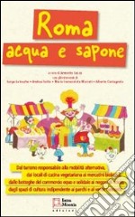 Roma acqua e sapone libro